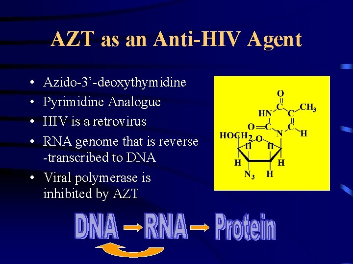 AZT as an Anti-HIV Agent • • Azido-3’-deoxythymidine Pyrimidine Analogue HIV is a retrovirus