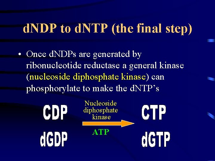 d. NDP to d. NTP (the final step) • Once d. NDPs are generated