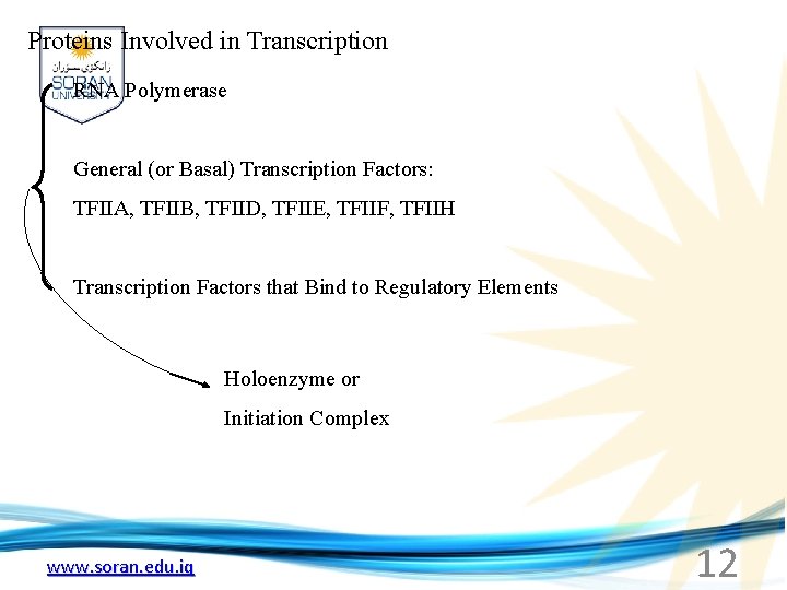 Proteins Involved in Transcription RNA Polymerase General (or Basal) Transcription Factors: TFIIA, TFIIB, TFIID,