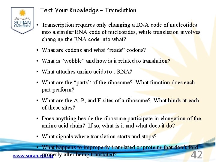 Test Your Knowledge – Translation • Transcription requires only changing a DNA code of