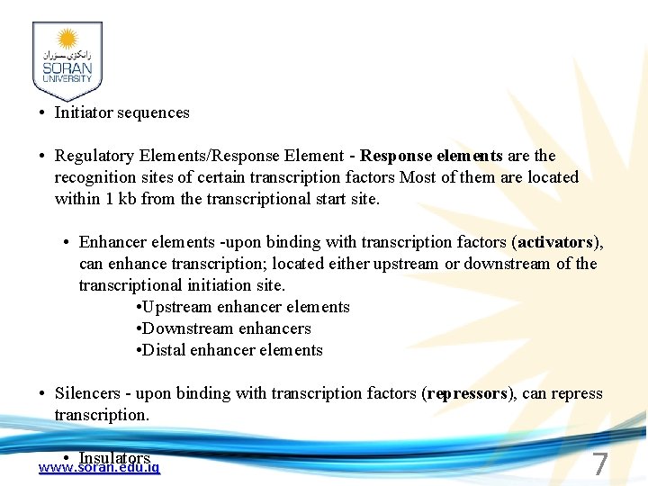  • Initiator sequences • Regulatory Elements/Response Element - Response elements are the recognition