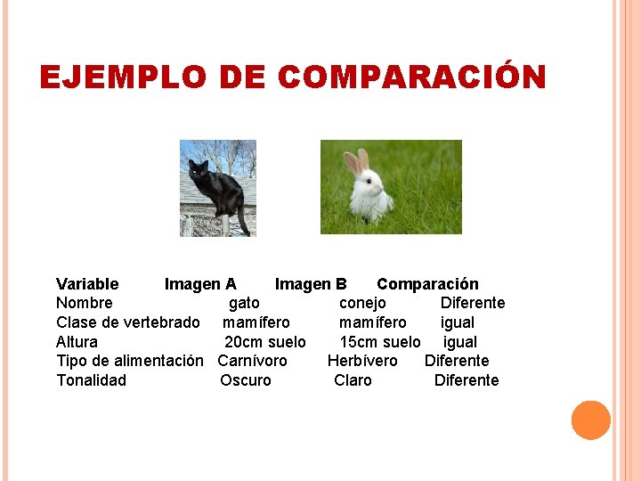 EJEMPLO DE COMPARACIÓN Variable Imagen A Imagen B Comparación Nombre gato conejo Diferente Clase