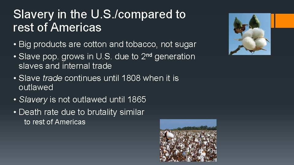 Slavery in the U. S. /compared to rest of Americas • Big products are