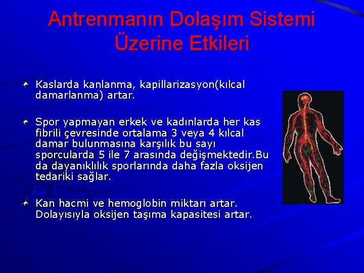 Antrenmanın Dolaşım Sistemi Üzerine Etkileri Kaslarda kanlanma, kapillarizasyon(kılcal damarlanma) artar. Spor yapmayan erkek ve