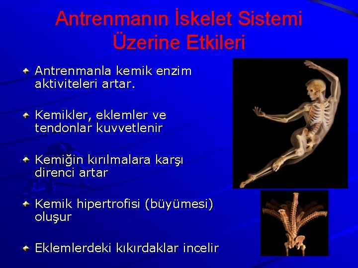 Antrenmanın İskelet Sistemi Üzerine Etkileri Antrenmanla kemik enzim aktiviteleri artar. Kemikler, eklemler ve tendonlar Antrenmanın İskelet Sistemi Üzerine Etkileri Antrenmanla kemik enzim aktiviteleri artar. Kemikler, eklemler ve tendonlar
