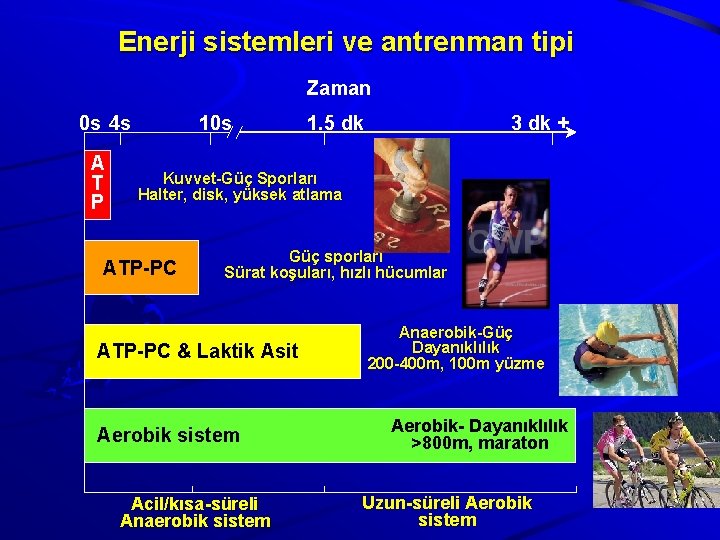 Enerji sistemleri ve antrenman tipi Zaman 0 s 4 s A T P 10