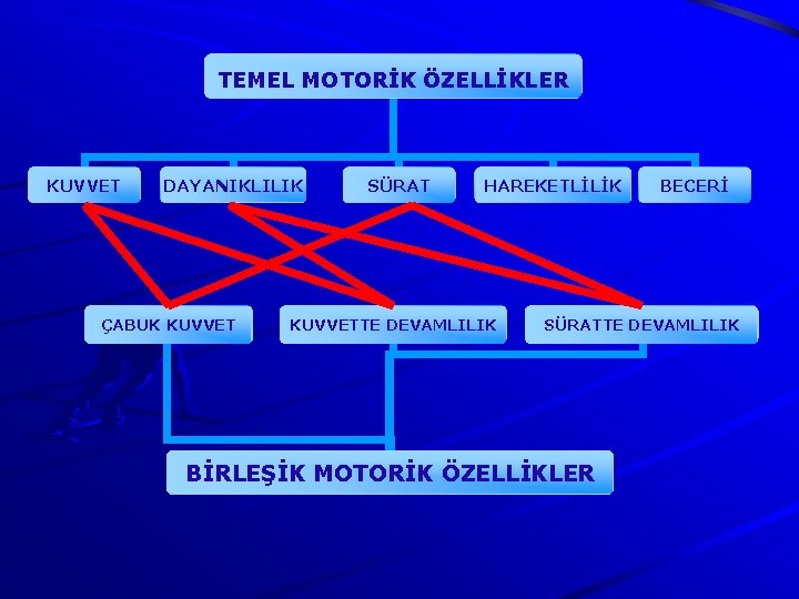 TEMEL MOTORİK ÖZELLİKLER KUVVET DAYANIKLILIK ÇABUK KUVVET SÜRAT HAREKETLİLİK KUVVETTE DEVAMLILIK BECERİ SÜRATTE DEVAMLILIK