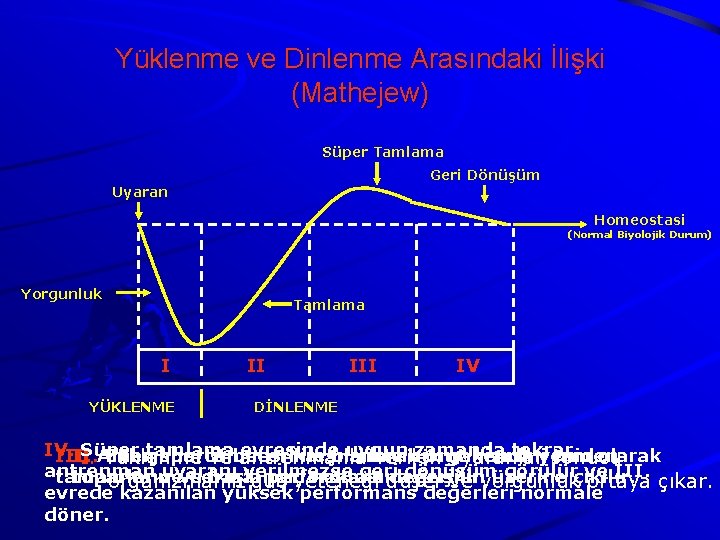 Yüklenme ve Dinlenme Arasındaki İlişki (Mathejew) Süper Tamlama Geri Dönüşüm Uyaran Homeostasi (Normal Biyolojik