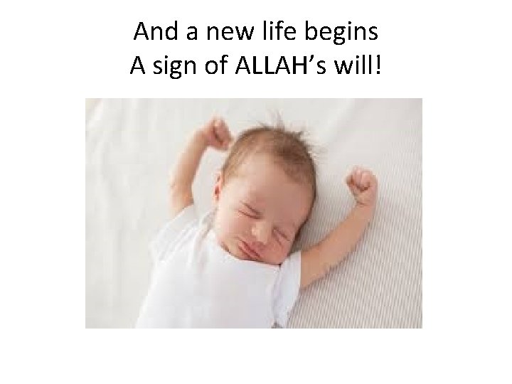 And a new life begins A sign of ALLAH’s will! 