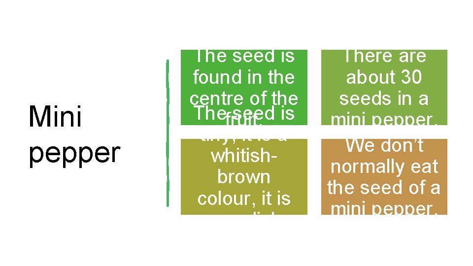 Mini pepper The seed is found in the centre of the The seed is Mini pepper The seed is found in the centre of the The seed is