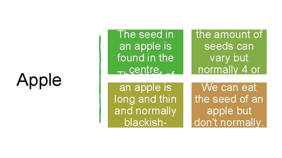 Apple The seed in an apple is found in the centre. The seed of Apple The seed in an apple is found in the centre. The seed of