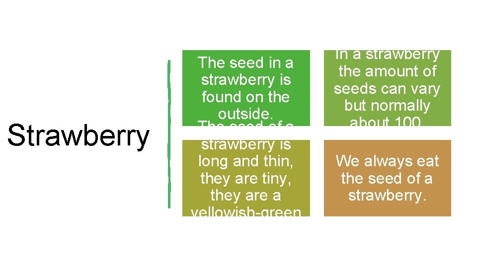 Strawberry The seed in a strawberry is found on the outside. The seed of Strawberry The seed in a strawberry is found on the outside. The seed of