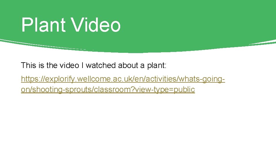 Plant Video This is the video I watched about a plant: https: //explorify. wellcome. Plant Video This is the video I watched about a plant: https: //explorify. wellcome.