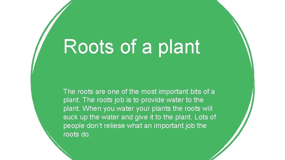 Roots of a plant The roots are one of the most important bits of Roots of a plant The roots are one of the most important bits of