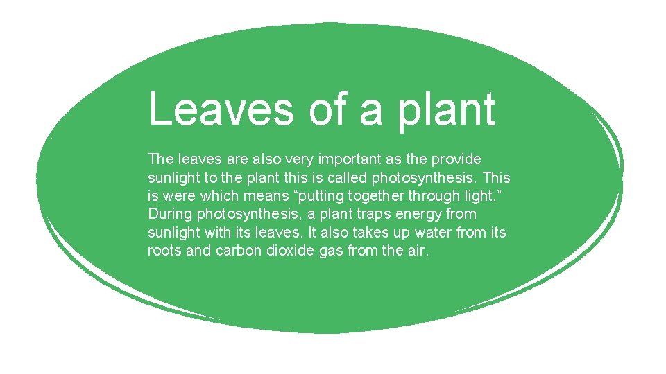 Leaves of a plant The leaves are also very important as the provide sunlight Leaves of a plant The leaves are also very important as the provide sunlight