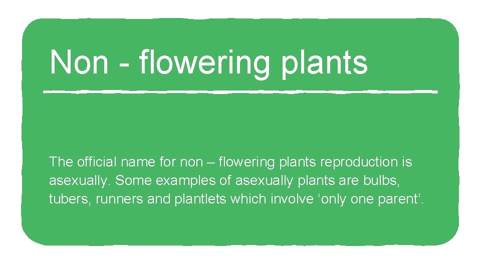 Non - flowering plants The official name for non – flowering plants reproduction is Non - flowering plants The official name for non – flowering plants reproduction is