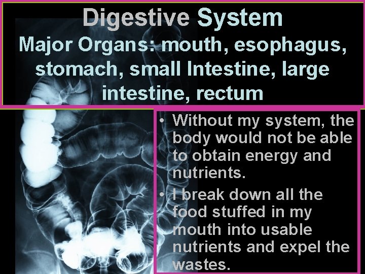 Digestive System Major Organs: mouth, esophagus, stomach, small Intestine, large intestine, rectum • Without