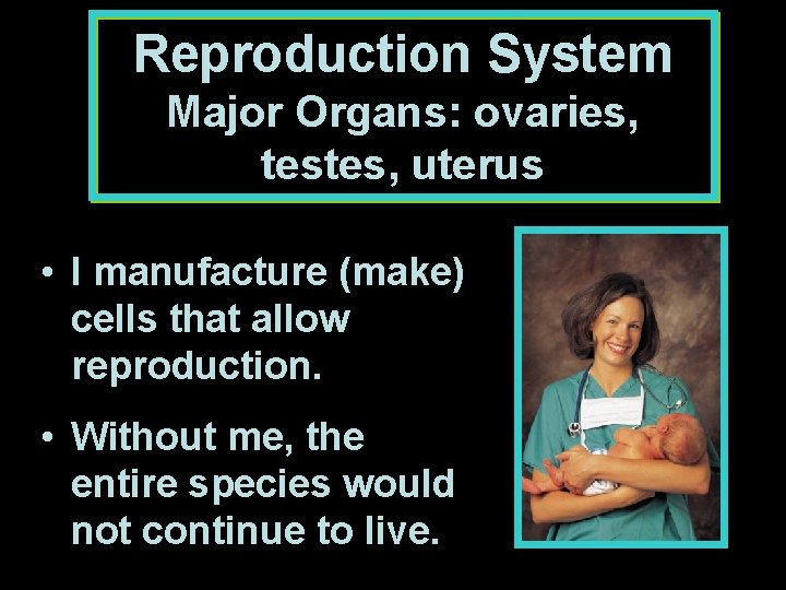 Reproduction System Major Organs: ovaries, testes, uterus • I manufacture (make) cells that allow