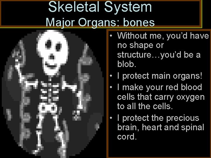 Skeletal System Major Organs: bones • Without me, you’d have no shape or structure…you’d
