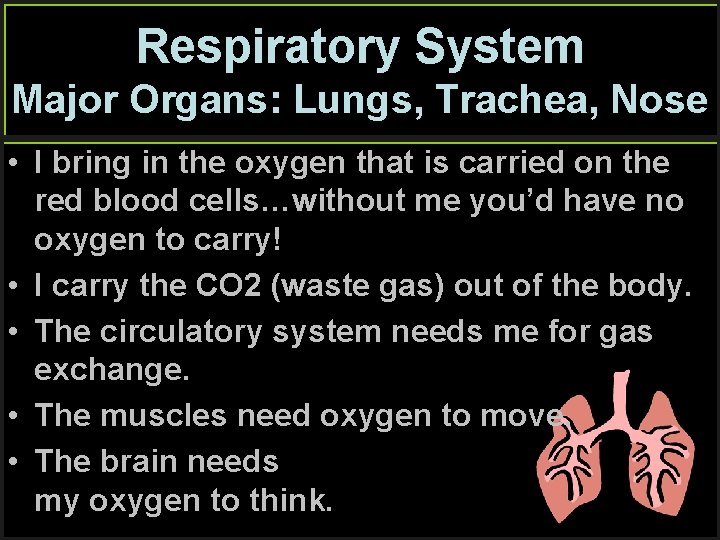 Respiratory System Major Organs: Lungs, Trachea, Nose • I bring in the oxygen that