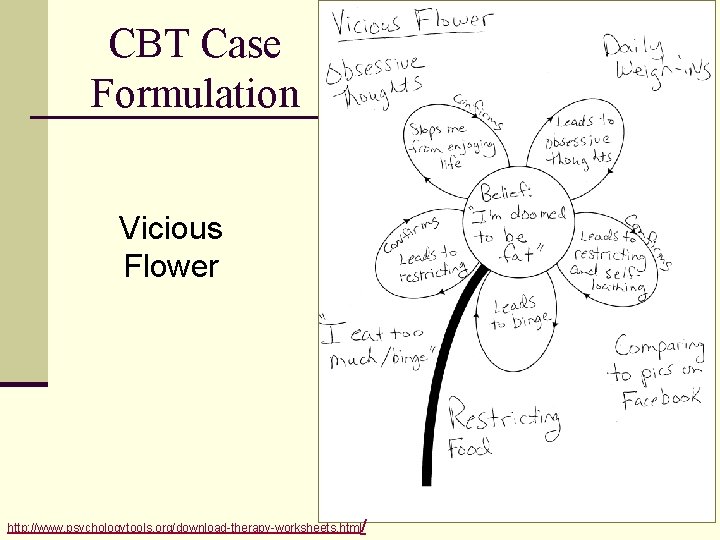 CBT Case Formulation Vicious Flower http: //www. psychologytools. org/download-therapy-worksheets. html/ 