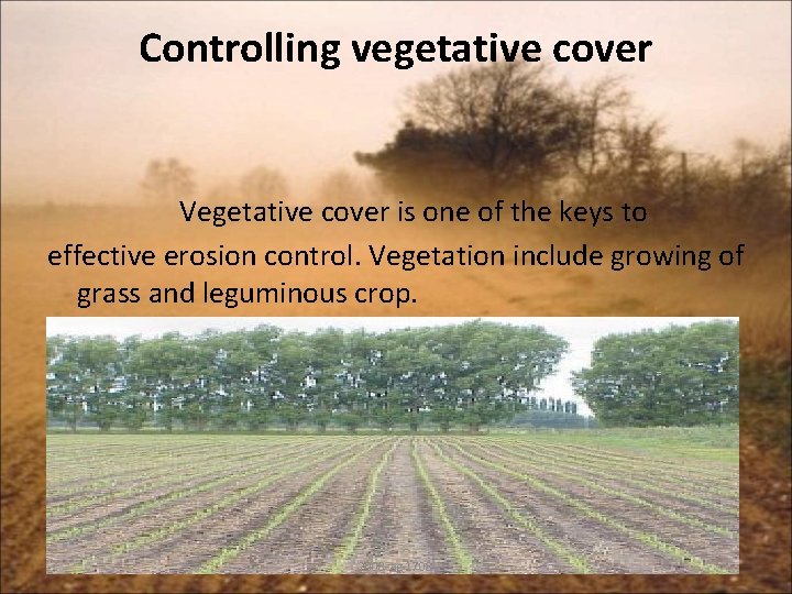 Controlling vegetative cover Vegetative cover is one of the keys to effective erosion control.