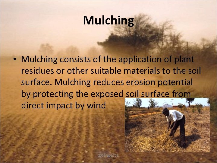Mulching • Mulching consists of the application of plant residues or other suitable materials
