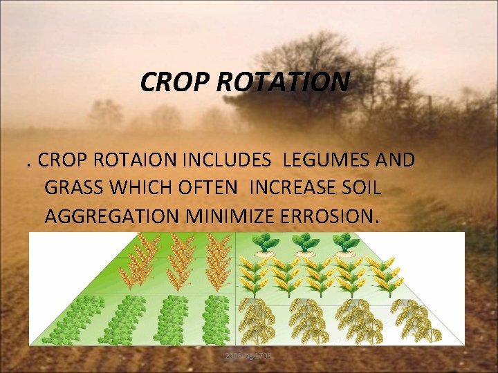 CROP ROTATION. CROP ROTAION INCLUDES LEGUMES AND GRASS WHICH OFTEN INCREASE SOIL AGGREGATION MINIMIZE