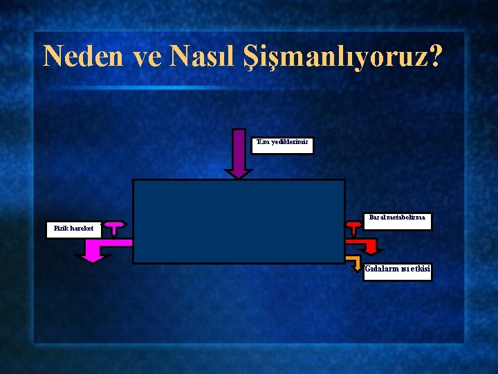 Neden ve Nasıl Şişmanlıyoruz? Tüm yediklerimiz Bazal metabolizma Fizik hareket Gıdaların ısı etkisi 