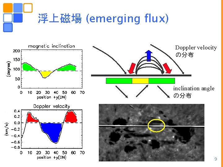 浮上磁場 (emerging flux) Doppler velocity の分布 inclination angle の分布 9 