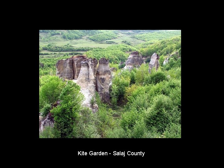 Kite Garden - Salaj County Kite Garden - Salaj County