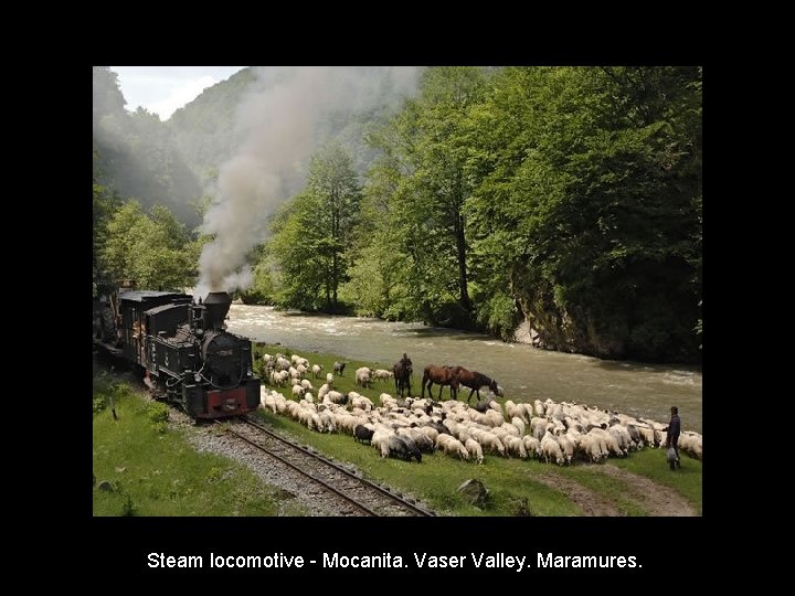 Steam locomotive - Mocanita. Vaser Valley. Maramures. Steam locomotive - Mocanita. Vaser Valley. Maramures.