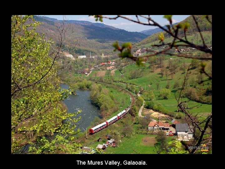 The Mures Valley, Galaoaia. The Mures Valley, Galaoaia.