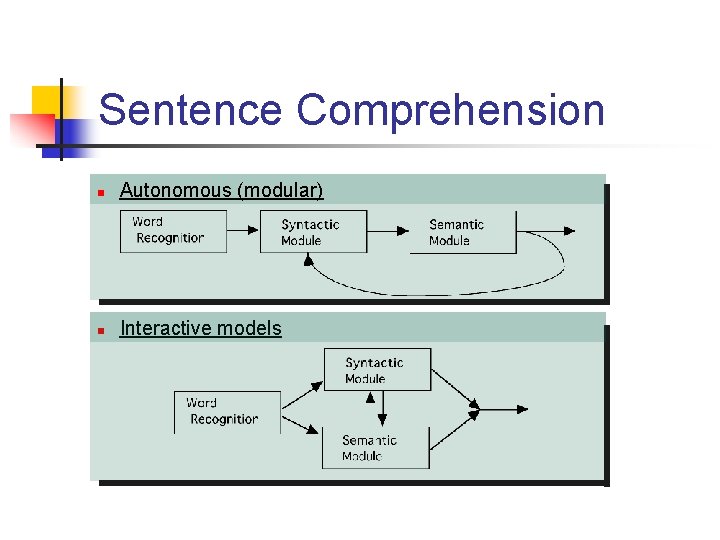 Sentence Comprehension n Autonomous (modular) n Interactive models 