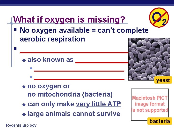 What if oxygen is missing? § No oxygen available = can’t complete § O