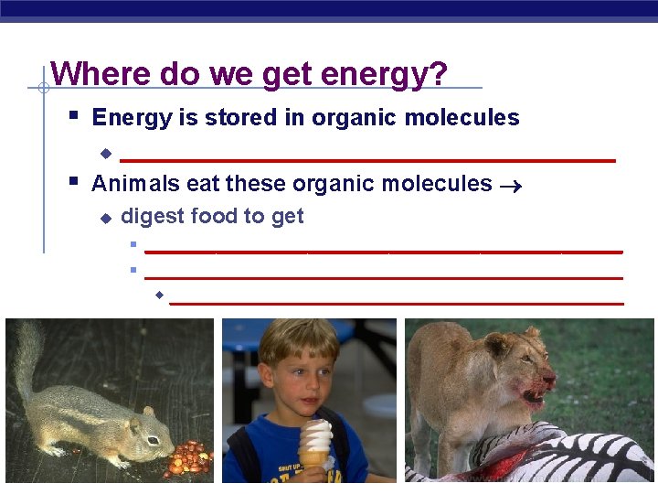 Where do we get energy? § Energy is stored in organic molecules ____________________ Animals