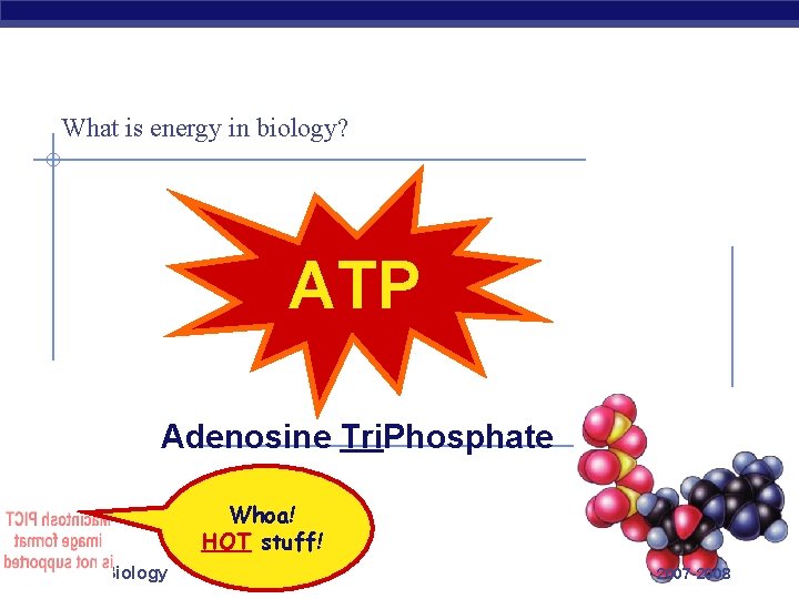 What is energy in biology? ATP Adenosine Tri. Phosphate Whoa! HOT stuff! Regents Biology