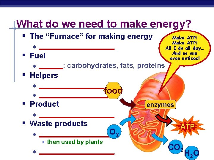 What do we need to make energy? § The “Furnace” for making energy u