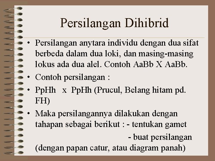 Persilangan Dihibrid • Persilangan anytara individu dengan dua sifat berbeda dalam dua loki, dan