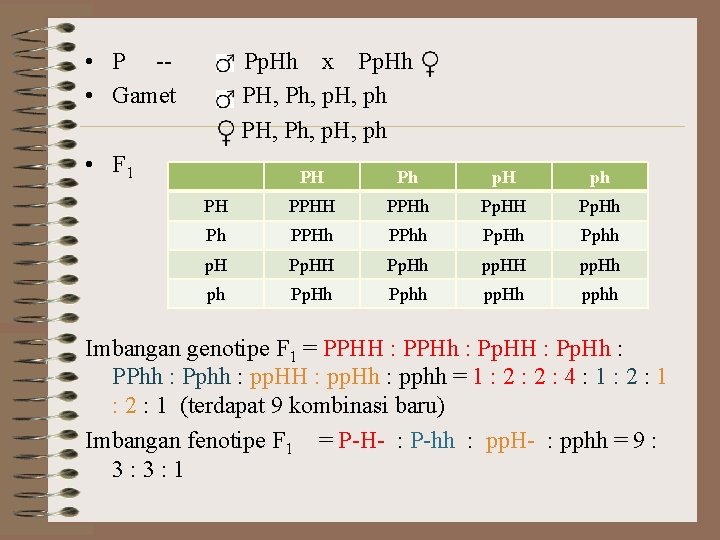  • P - • Gamet Pp. Hh x Pp. Hh PH, Ph, p.