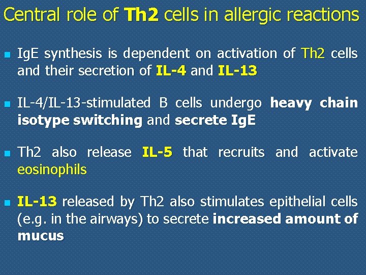 Central role of Th 2 cells in allergic reactions n n Ig. E synthesis