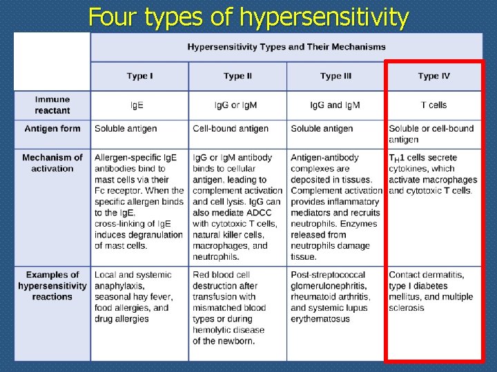 Four types of hypersensitivity 