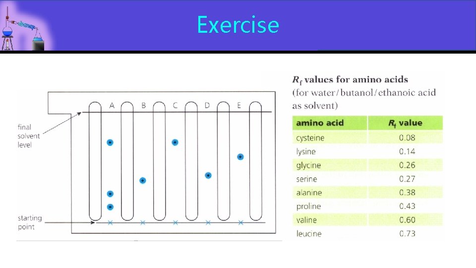 Exercise  Exercise
