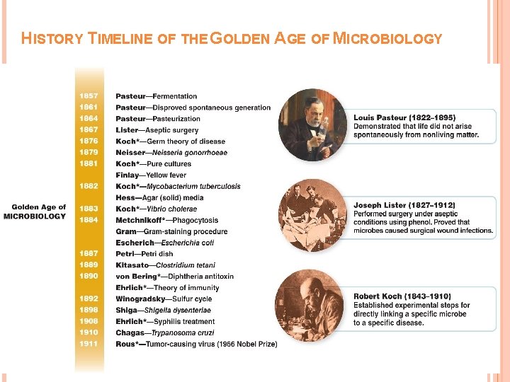 HISTORY TIMELINE OF THE GOLDEN AGE OF MICROBIOLOGY 