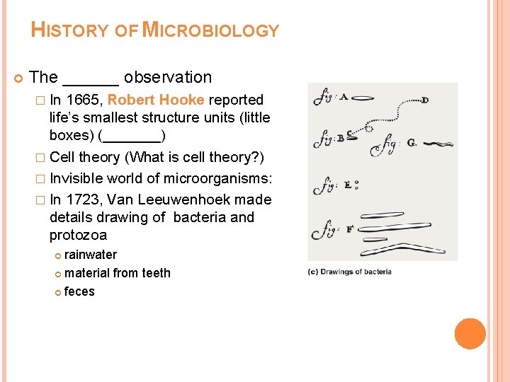 HISTORY OF MICROBIOLOGY The ______ observation � In 1665, Robert Hooke reported life’s smallest