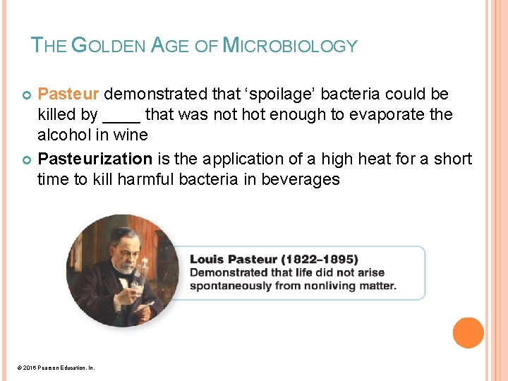 THE GOLDEN AGE OF MICROBIOLOGY Pasteur demonstrated that ‘spoilage’ bacteria could be killed by