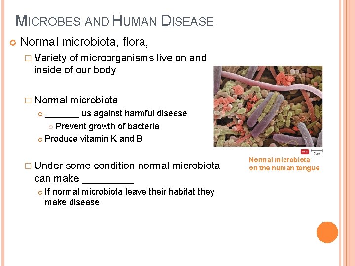 MICROBES AND HUMAN DISEASE Normal microbiota, flora, � Variety of microorganisms live on and