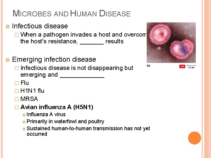 MICROBES AND HUMAN DISEASE Infectious disease � When a pathogen invades a host and