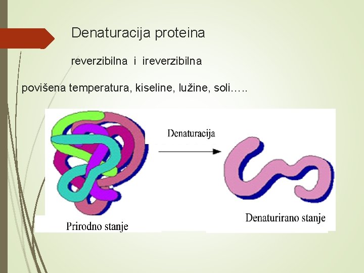  Denaturacija proteina reverzibilna i ireverzibilna povišena temperatura, kiseline, lužine, soli…. . 