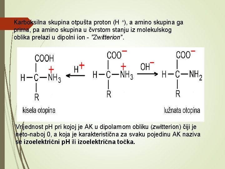  Karboksilna skupina otpušta proton (H +), a amino skupina ga prima, pa amino